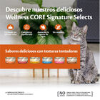 Wellness Core Chunky pollo y pavo lata para gatos, , large image number null